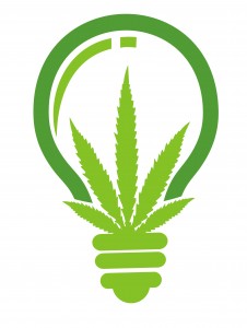Washington State Marijuana Laws - marijuana light bulb
